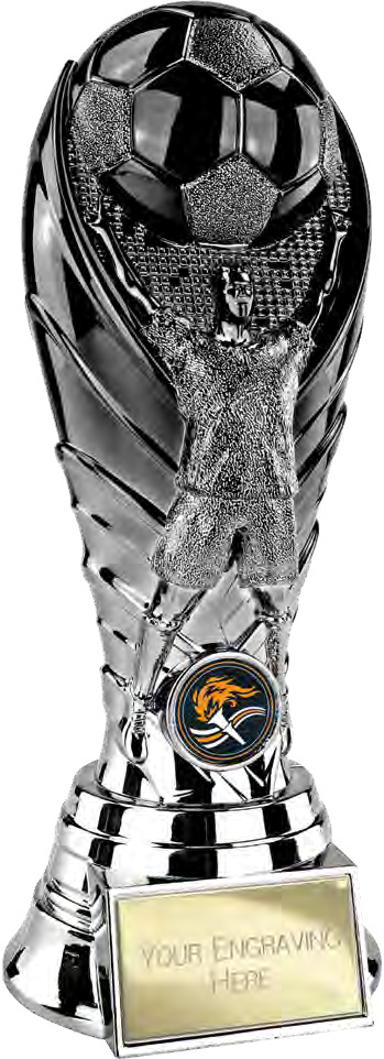 The Winning Goal Football Gunmetal 190mm – catalogue page 18