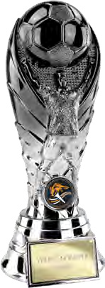 The Winning Goal Football Gunmetal 220mm – catalogue page 18