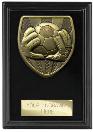 Cobra Plaque Product Family – catalogue page 60