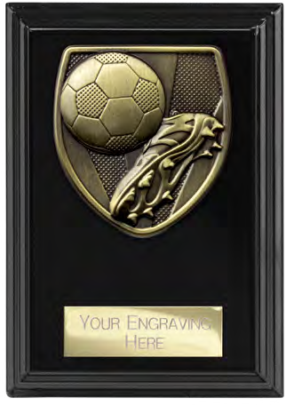 Cobra Plaque Product Family – catalogue page 60