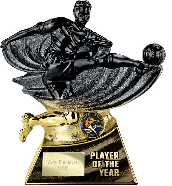 Power Strike Gold Football Specials — Player of the Year – catalogue page 70