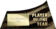Power Strike Football Specials — Player of the Year – catalogue page 70