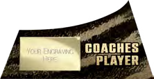 Power Strike Football Specials — Coaches Player – catalogue page 70