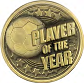 Intensity Football — Player of the Year Metal Insert – catalogue page 73