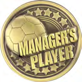 Intensity Football — Manager's Player Metal Insert – catalogue page 73