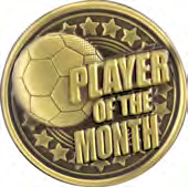 Intensity Football — Player of the Month Metal Insert – catalogue page 73