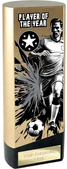 Prime Football Gold Special — Player of the Year – catalogue page 75