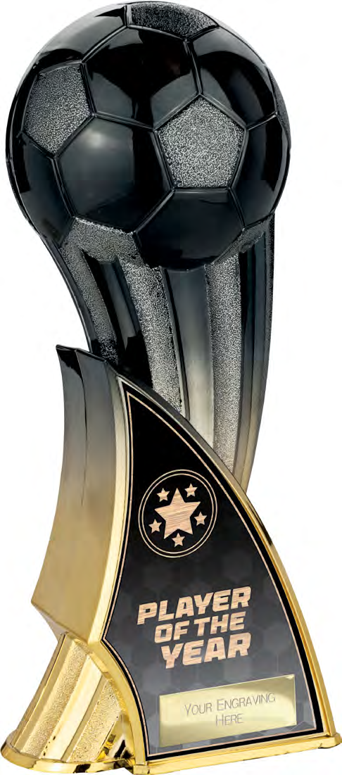 Firestorm Football Specials — Player of the Year – catalogue page 77