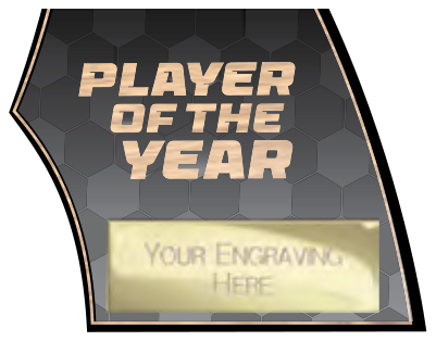 Firestorm Football Specials — Player of the Year – catalogue page 77