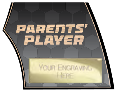 Firestorm Football Specials — Parents' Player – catalogue page 77