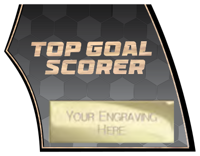 Firestorm Football Specials — Top Goal Scorer – catalogue page 77