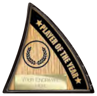 Power Boot Football Specials — Player of the Year – catalogue page 78
