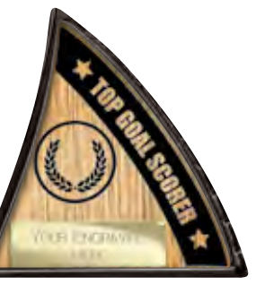 Power Boot Football Specials — Top Goal Scorer – catalogue page 78