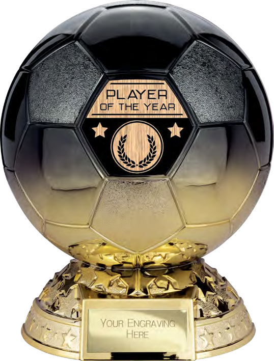 Elite Football Specials Size C — Player of the Year – catalogue page 79