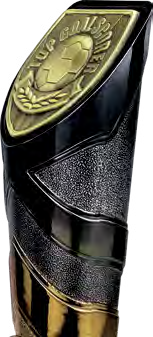 Fusion Cobra Football Specials — Side View – catalogue page 80
