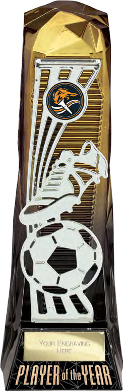 Shard Female Football — Player of the Year – catalogue page 81