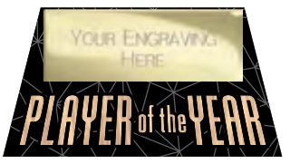 Shard Football Specials — Player of the Year – catalogue page 81