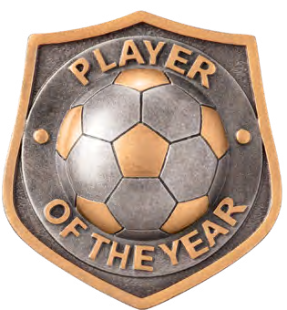 Falcon Football Specials — Player of the Year Applied Hero Insert – catalogue page 82