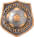 Falcon Football Specials — Coach Award Resin Insert – catalogue page 82