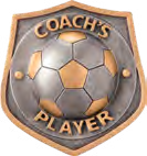 Falcon Football Specials — Coach's Player Resin Insert – catalogue page 82