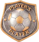 Falcon Football Specials — Player's Player Resin Insert – catalogue page 82