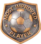 Falcon Football Specials — Most Improved Player Resin Insert – catalogue page 82