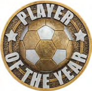 Ikon Football Specials — Player of the Year Resin Insert – catalogue page 83