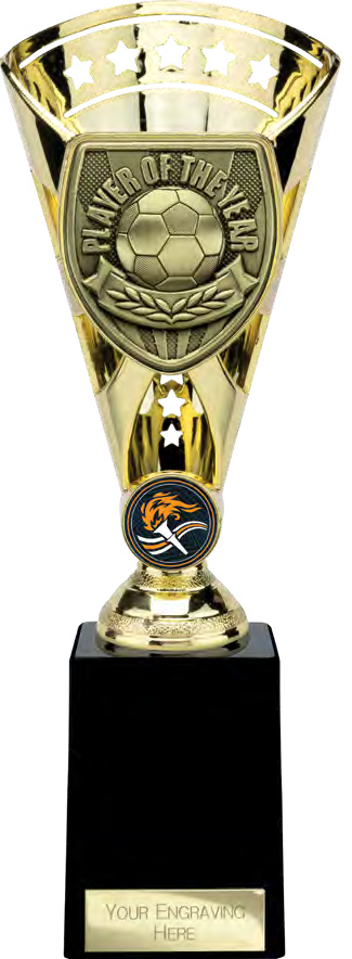 Cobra Star Football Gold – catalogue page 84