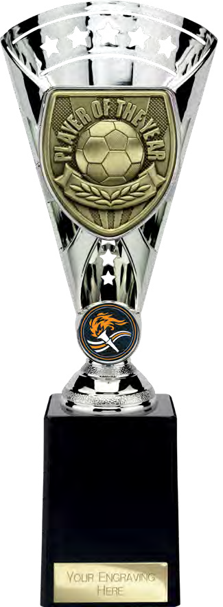 Cobra Star Football Silver – catalogue page 84
