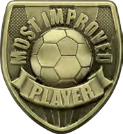 Cobra Star Most Improved Player Metal Insert – catalogue page 84