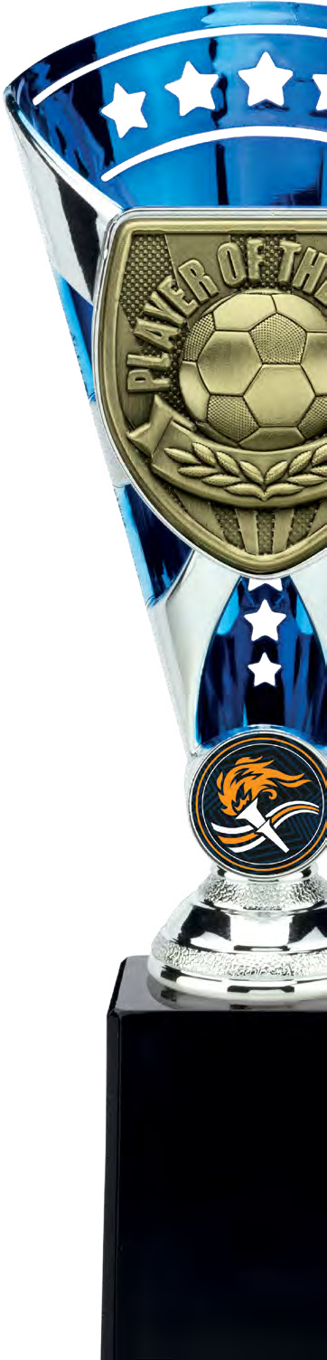 Cobra Star Football Blue – catalogue page 85