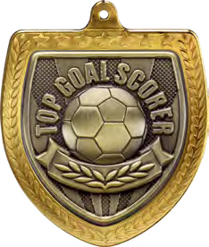 Cobra Shield Top Goal Scorer – catalogue page 86