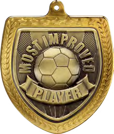 Cobra Shield Most Improved Player – catalogue page 86