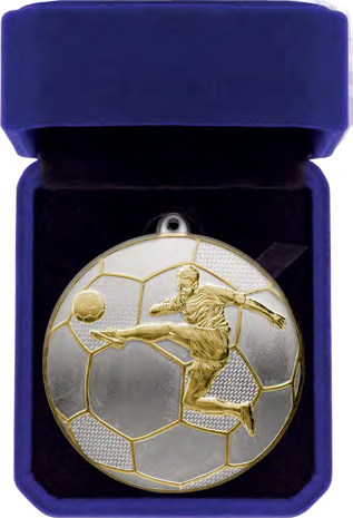 Premiership Football 70mm Medal & Box – catalogue page 107