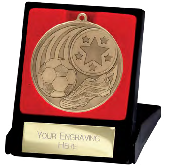 Iconic Football Medal & Box Bronze – catalogue page 107