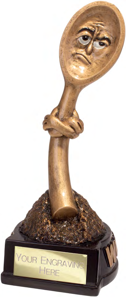 Total Spoon Fun Award – catalogue page 134