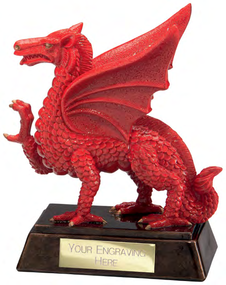 Celtic Dragon Rugby – catalogue page 134