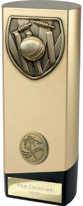 Prime Cobra Cricket Gold & Black – catalogue page 143