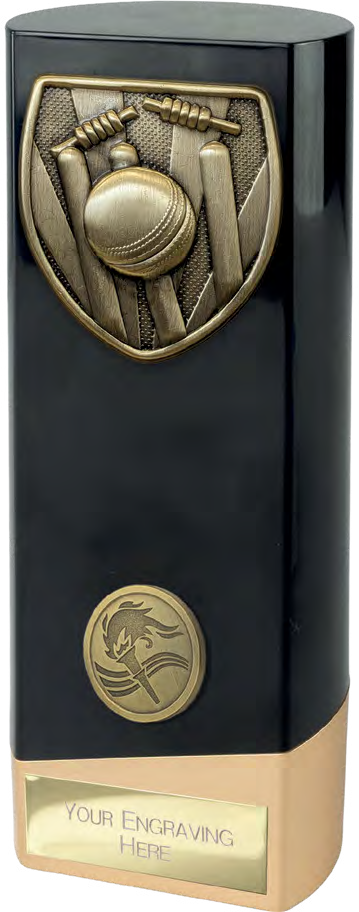 Prime Cobra Cricket Black & Gold – catalogue page 143