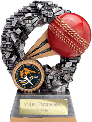 Blast Out Cricket 120mm – catalogue page 144