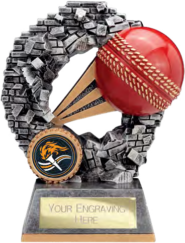 Blast Out Cricket 140mm – catalogue page 144