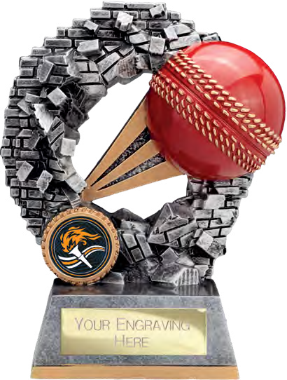 Blast Out Cricket 155mm – catalogue page 144