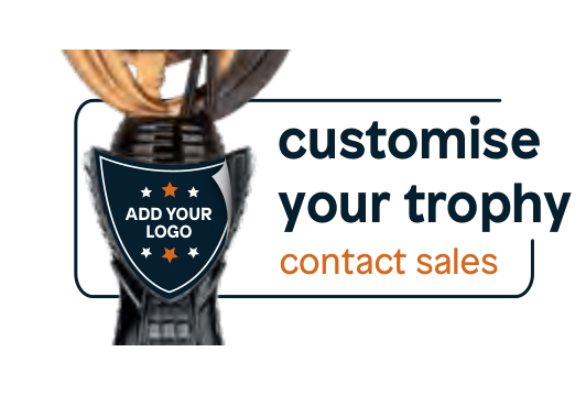 Customisable Darts Trophy Example – catalogue page 162