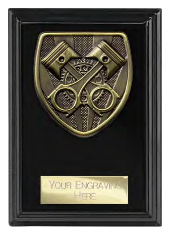 Cobra Plaque Motorsport – catalogue page 190