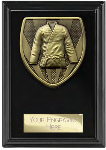 Cobra Plaque Martial Arts – catalogue page 205