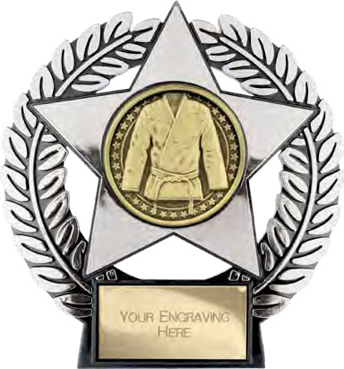 Emperor Star Martial Arts Bronze – catalogue page 211
