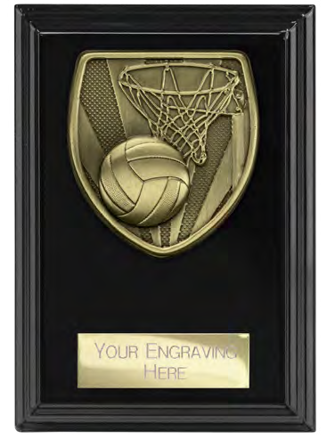 Cobra Plaque Epic Black Netball – catalogue page 218