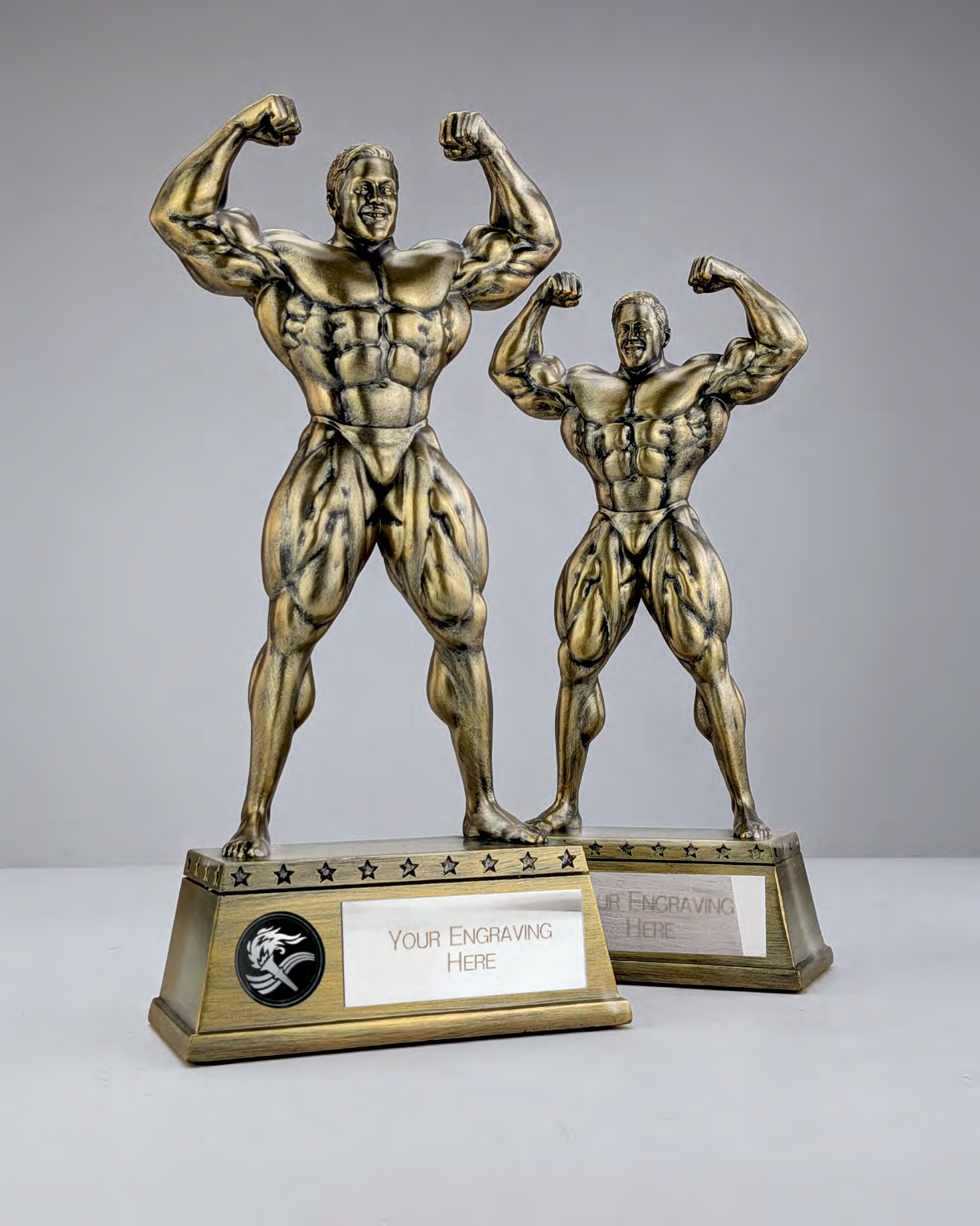 Classic Bodybuilding Two-size Composite – catalogue page 229