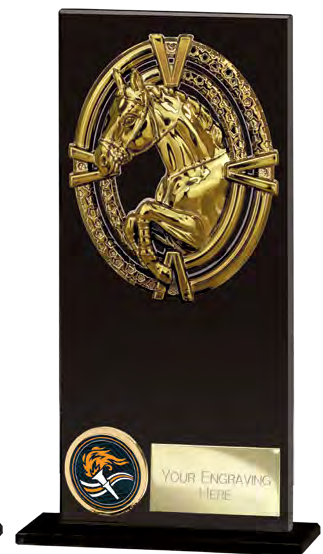 Maverick Fusion Equestrian – catalogue page 235