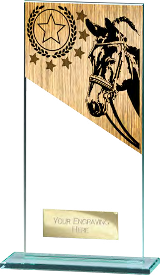 Mustang Equestrian – catalogue page 235